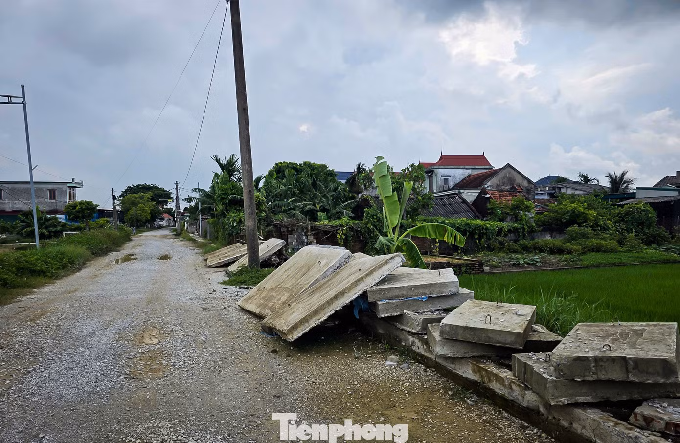 tp-c_duong-nb-29.jpg