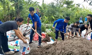 Bí thư T.Ư Đoàn Nguyễn Tường Lâm: Tập trung nguồn lực, sẵn sàng '4 tại chỗ' ứng phó bão Matmo