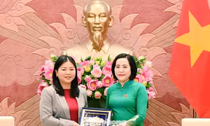 Quốc hội Việt Nam sẵn sàng đồng hành, đẩy mạnh hợp tác thanh niên Việt Nam - Australia