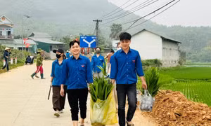 Tháng Thanh niên thu hút 5,6 triệu lượt đoàn viên tham gia tình nguyện