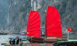 Lý do thuyền buồm đỏ ‘gây sốt’ vịnh Hạ Long tạm dừng hoạt động 