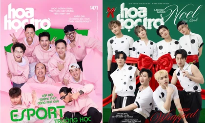 Hoa Học Trò 1471: Nên chọn ngành mình yêu thích hay ngành "bắt nhịp" AI?