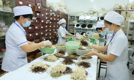 Bộ Y tế đang dự thảo Thông tư hướng dẫn hoạt động của y học cổ truyền trong cơ sở khám bệnh, chữa bệnh nhằm xây dựng hành lang pháp lý hướng dẫn các cơ sở khám bệnh, chữa bệnh thực hiện các hoạt động y học cổ truyền, đảm bảo thực hiện tốt chăm sóc sức khỏe nhân dân. Ảnh: Baochinhphu.vn.