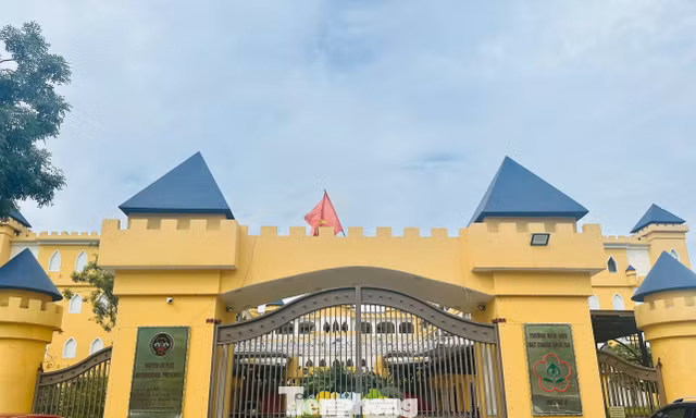 Vụ hơn 50 giáo viên trường mầm non quốc tế nghỉ dạy: Nhà trường thay đổi điều khoản hợp đồng