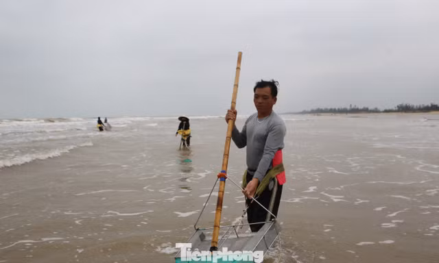 Mùa ốc ruốc ngắn ngủi, ngư dân tranh thủ 'hái lộc biển' kiếm tiền triệu mỗi ngày