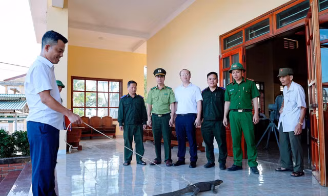 Kỳ đà vân nặng 5kg bất ngờ 'ghé thăm' vườn nhà dân Hà Tĩnh
