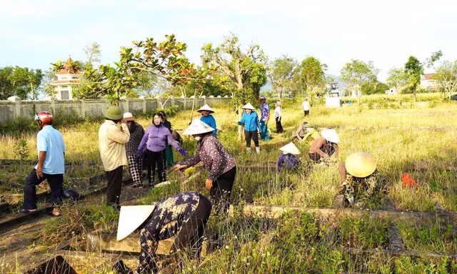 Ai trông coi 140 ngôi mộ vô chủ