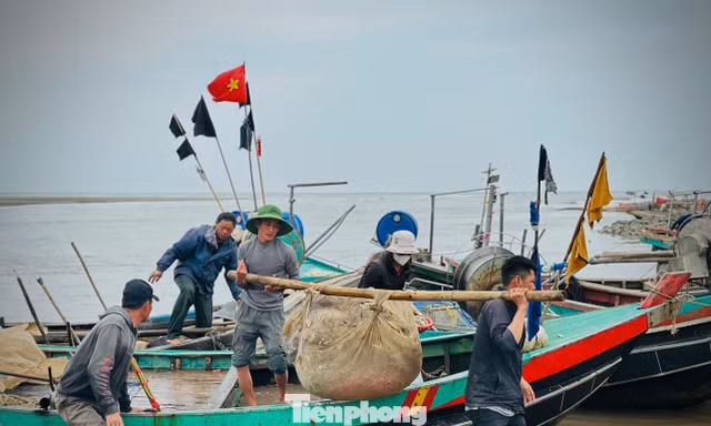 Ngư dân trúng đậm 'lộc biển' đầu năm 