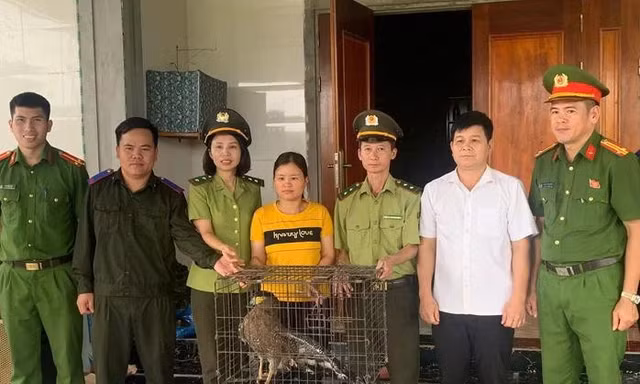 Động vật 'lạ' xuất hiện trong khu dân cư