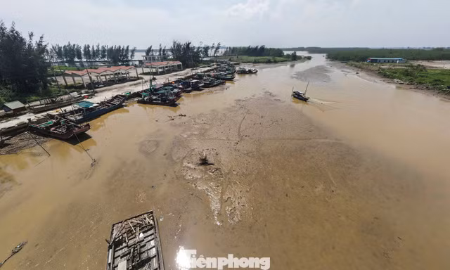 Cảng cá được đầu tư 43 tỷ đồng bỏ hoang