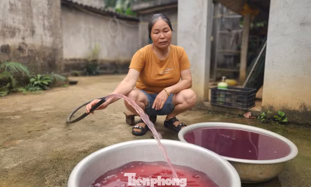 Nước sinh hoạt từ giếng khoan đổi màu tím bất thường