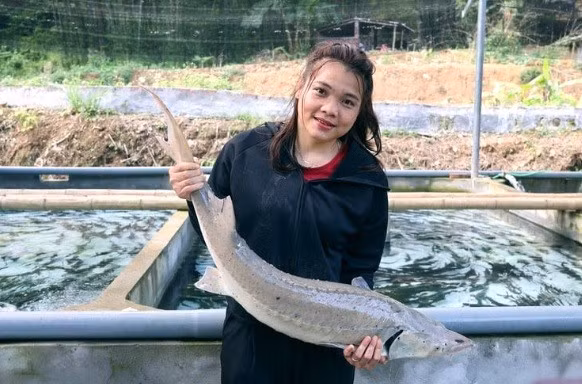 Cô gái Mường nuôi cá tầm ở Thanh Hóa trúng cử đại biểu HĐND tỉnh