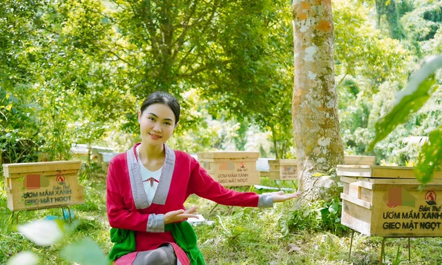 Hành trình đánh thức sinh kế từ rừng của cô gái xứ Thanh ứng cử đại biểu Quốc hội 