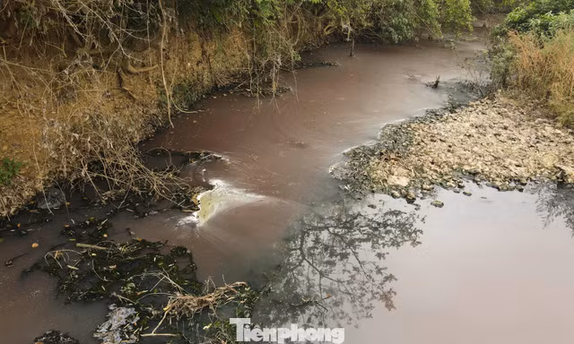 Mới nhất vụ nước giếng khoan đổi màu tím bất thường
