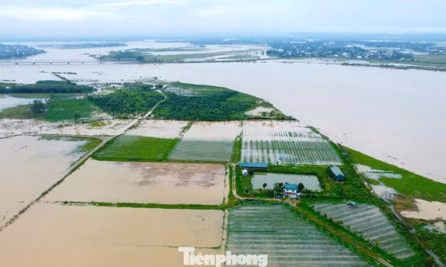 Bị bão quét sạch hoa màu, cả hợp tác xã trắng tay