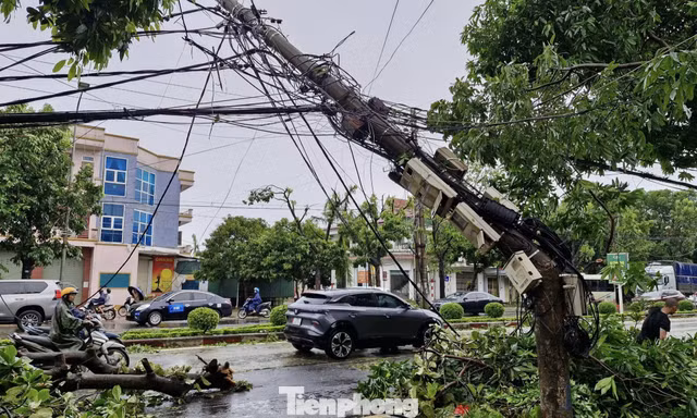 Nhiều cột điện ở Nghệ An gãy đổ sau bão số 5