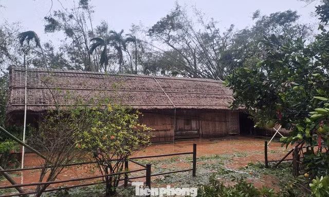 Nhà tranh Bác Hồ ở Làng Sen đứng vững trước bão số 10
