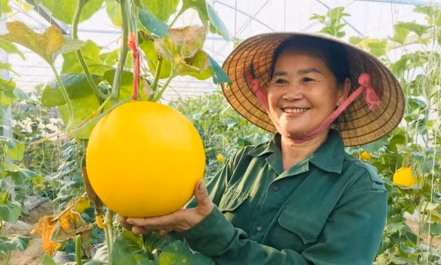 Nghệ An tích cực đưa nghị quyết vào cuộc sống