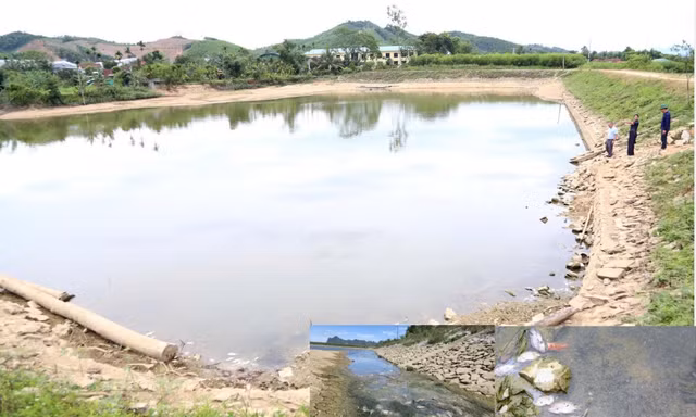 Lấy mẫu nước ở đập thủy điện xác định nguyên nhân cá chết bất thường 