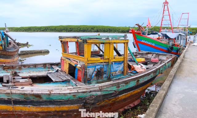 Hàng loạt tàu thuyền mục nát nằm ngổn ngang