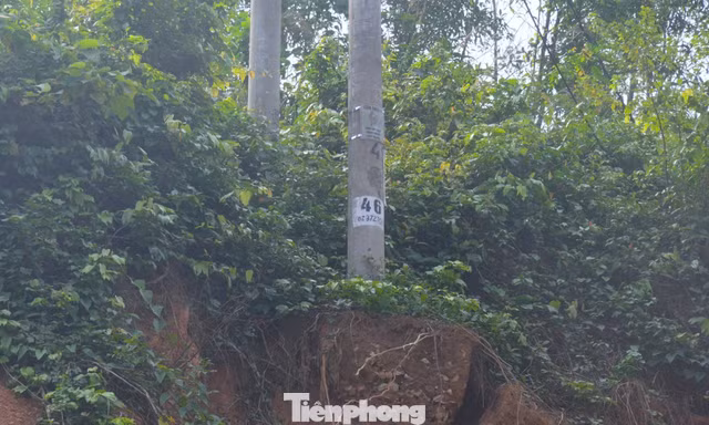 Cột điện đôi sụt móng, nghiêng ngả sau mưa bão