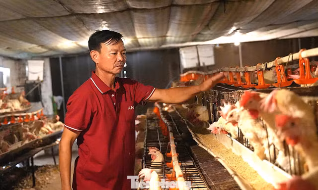 Chuyện về nông dân Việt Nam xuất sắc từng suýt phá sản, phải bán kỷ vật 