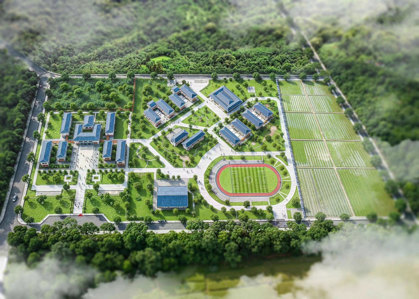 Phối cảnh của ngôi trường.