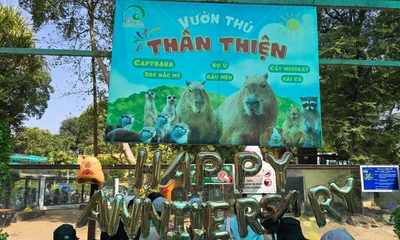 Giới trẻ rủ nhau đến Thảo Cầm Viên mừng kỷ niệm một năm Capybara "debut"