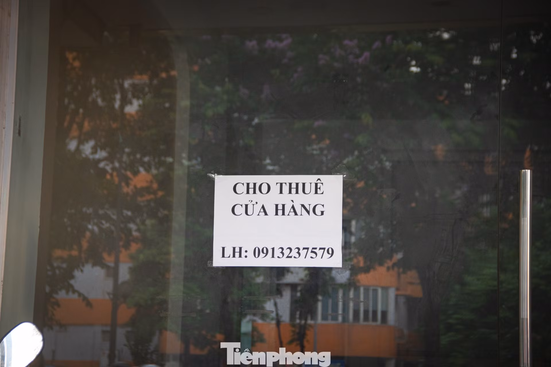 tp-phudo-05.jpg
