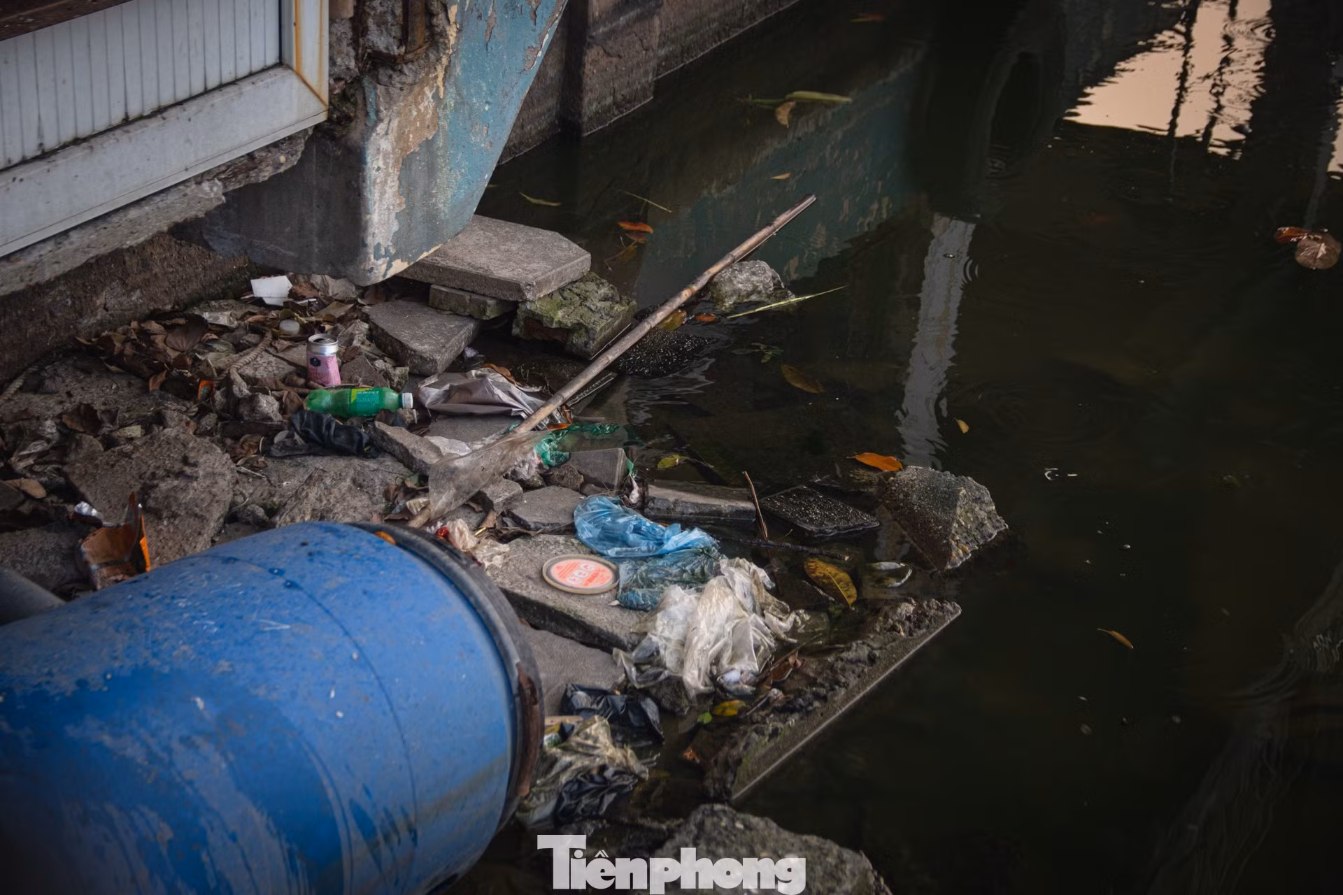 tp-hotay-32.jpg