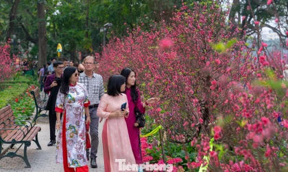 'Sống chậm' ở Hà Nội, tận hưởng từng phút giây bình yên đầu năm