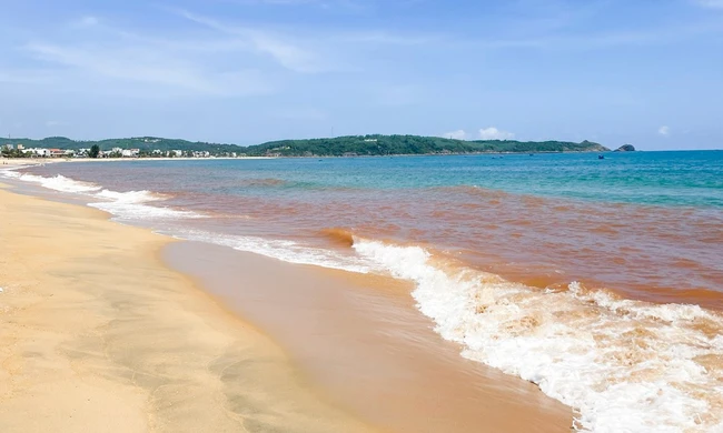 Vì sao nước biển ở Gia Lai chuyển màu nâu đỏ?