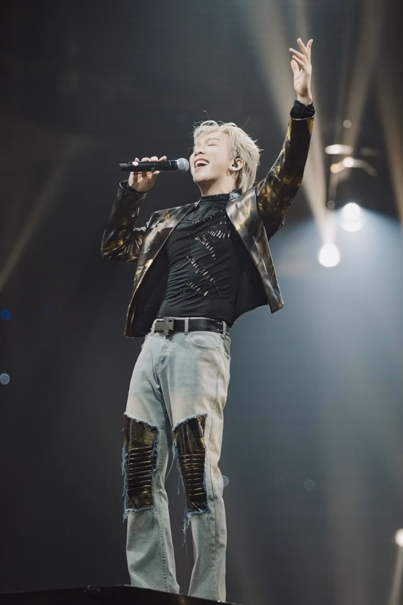 t0a03995-1759.jpg