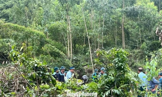 Hiện trường máy bay quân sự YAK-130 rơi ở vùng núi Đắk Lắk