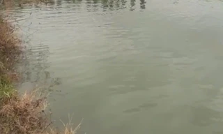 Tìm thấy thi thể người mẹ trẻ đang mang thai và con gái dưới hồ nước ở Đắk Lắk