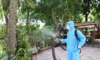 Đắk Lắk: Dịch sốt xuất huyết bùng phát, có ca tử vong nhưng ban chỉ đạo ‘nằm trên giấy’