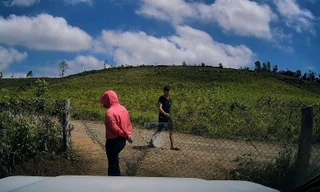 Chủ bãi không xuất vé, rào lối ra đến khi thu đủ tiền mới cho xe rời đi.