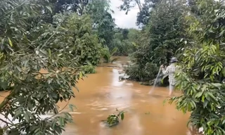 Hơn 5.000 cây trồng bị ngập, thiệt hại tiền tỷ ở Đắk Lắk