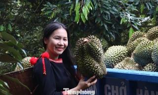 Phiên livestream sầu riêng có gì mà khách đổ xô mua hơn 60 tấn? 