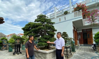Gặp ông chủ khu vườn tiền tỷ, bán 1 cây xây nhà lầu ở Đắk Lắk
