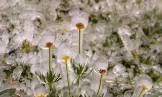 Đắk Lắk có nơi xuống 12,7 độ C, số ca đột quỵ tăng gấp đôi