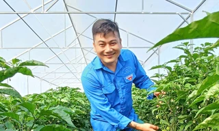 Những thanh niên 'nhóm lửa' khởi nghiệp giữa làng quê