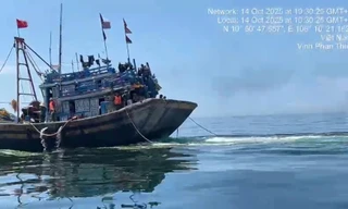 Bắt giữ 6 tàu cá 