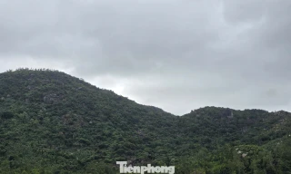 Sức khoẻ của phi công trong vụ rơi máy bay quân sự ở vùng núi Đắk Lắk