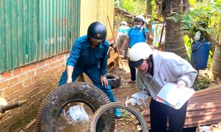 Đắk Lắk ghi nhận hơn 7.300 ca mắc sốt xuất huyết, 3 người tử vong