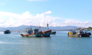 Gia Lai lên kịch bản sơ tán hơn 128.000 dân để ứng phó bão Kalmaegi