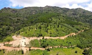 Chủ tịch tỉnh Gia Lai yêu cầu kiểm tra, xử lý nội dung vụ việc báo Tiền Phong nêu