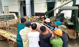 Cận cảnh di dời tài sản của dân ra khỏi vực 'tử thần' ở Gia Lai