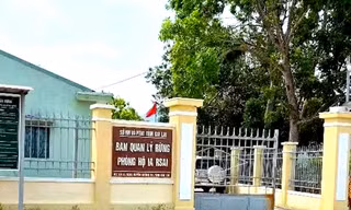 Bắt giám đốc ban quản lý rừng phòng hộ ở Gia Lai 