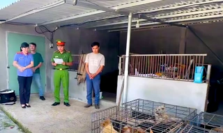 Khởi tố 6 đối tượng trộm hơn 5.200 con chó